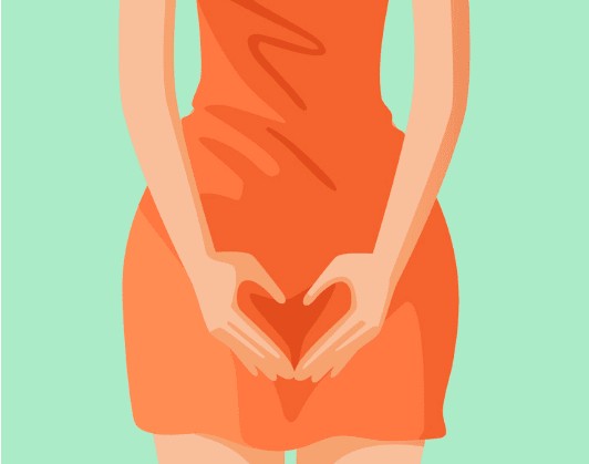woman menstrual cycle